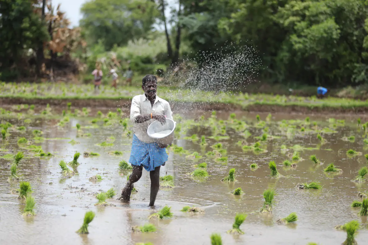 Indian farmer holding a Kisan Credit Card with green crop fields in the background